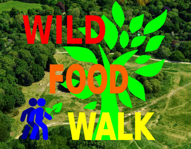 Wild 
Food Foraging Walks: Led by forager and organic vegetable grower Heath Bunting. Will also touch upon bush-craft, cultivation, medicinal plants, wild 
soaps, poisonous plants, food processing, preservation and prepping.